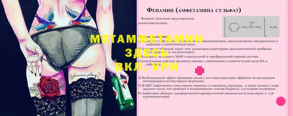 прущие грибы Каменск-Шахтинский