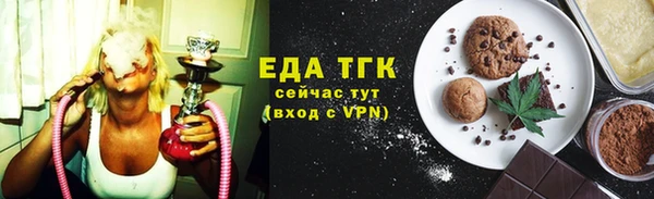 спайс Каменка
