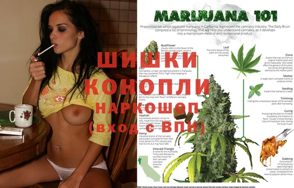 спайс Каменка