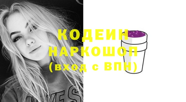 спайс Каменка