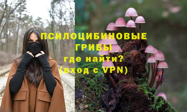 PSILOCYBIN Киреевск
