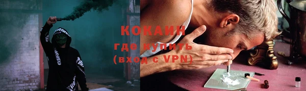 прущие грибы Каменск-Шахтинский