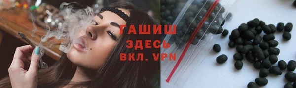 спайс Каменка