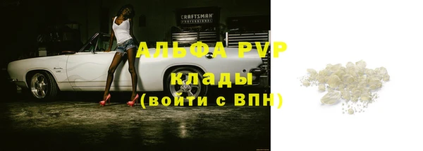 спайс Каменка