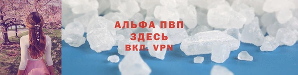 спайс Каменка