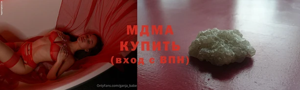 прущие грибы Каменск-Шахтинский