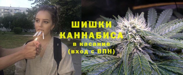 спайс Каменка