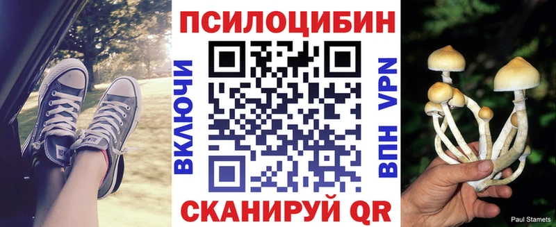 Галлюциногенные грибы Psilocybine cubensis  Купить  Заволжье 
