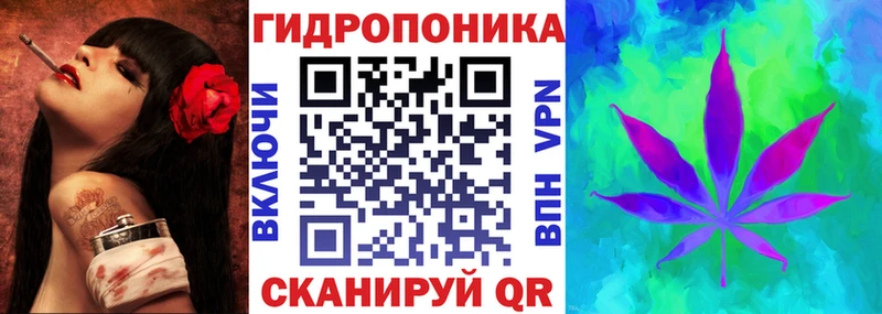 Марихуана семена Купить закладки Заволжье